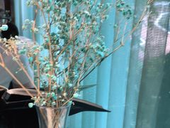 -东颖龙肥牛王(绵阳店)