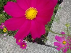 -丹噶尔古城