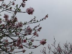 -石湖景区