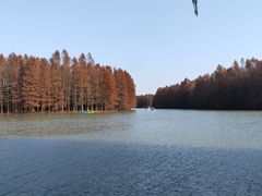 -上海海湾国家森林公园