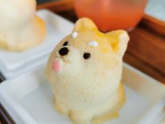 -柴犬高等学院·狗咖·柴犬售卖·宠物训练