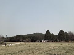 -秦始皇帝陵博物院-丽山园