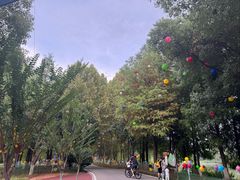 -洋湖国家湿地公园