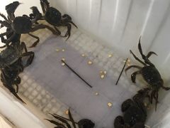 -芸海阁·农家私房菜(沙家浜景区出口店)