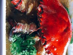 -茉莉.Red Crab