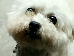 -乌江画廊(彭水苗族土家族自治县)