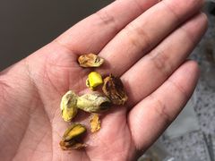 -大连双兴商品城