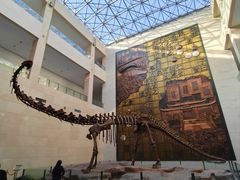 -衢州市博物馆