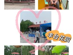 -丰台花园