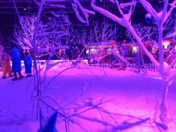 -圣名游乐城冰雪大世界