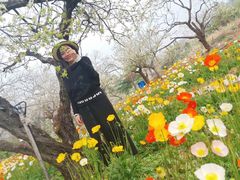 -名花谷生态庄园