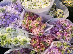 -循礼门鲜花花市(武汉循礼门店)