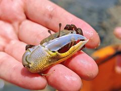 -北海金海湾红树林生态旅游区