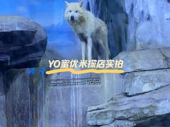 -多彩贵州城极地海洋世界