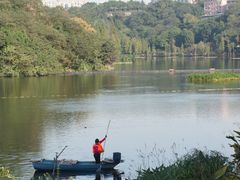-重庆彩云湖湿地公园