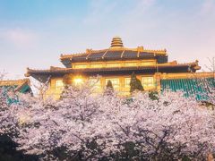 -武汉大学-樱园