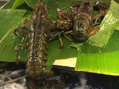 -79号渔船海鲜饭店(华强北店)