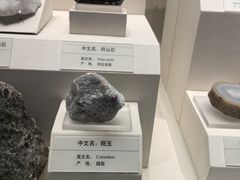 -天津自然博物馆