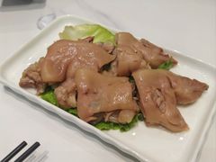 -丁老爷子苏香圆