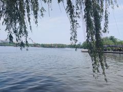 -济南大明湖景区