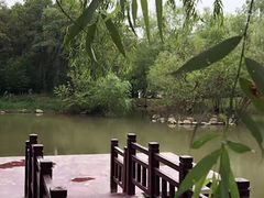 -菊花台公园