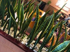 -COSTA COFFEE(济南振华商厦店)