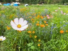 -武陵山森林公园