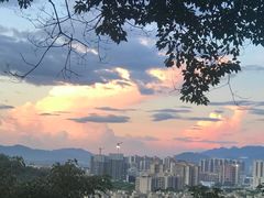 -风云岭森林公园