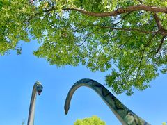 -西峡恐龙遗迹园