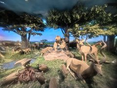 -国家自然博物馆