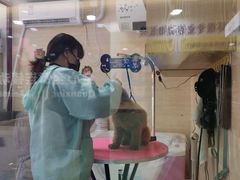 -全心全意连锁动物医院(石景山店)