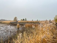 -野鸭湖国家湿地公园
