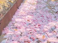 -唐城墙遗址公园