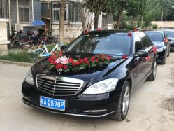 -蚂蚁婚车