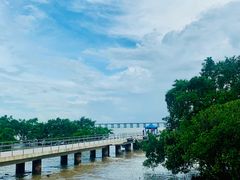 -宝安西湾红树林湿地公园