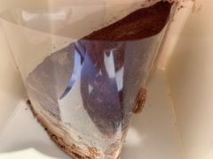 -麦当劳(红旗路店)