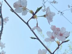 -三湘财富广场