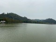 -顺峰山公园