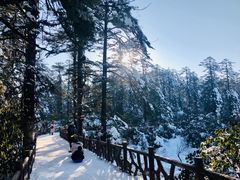 -瓦屋山景区
