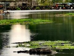 -靖西鹅泉风景区