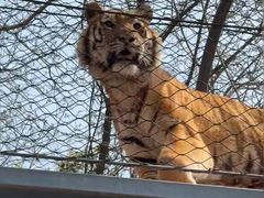 -大连森林动物园