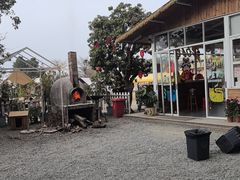 -长洲岛都市农业公园
