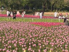 -北陵公园