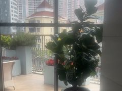 -浅深Cheersum(曹杨店)