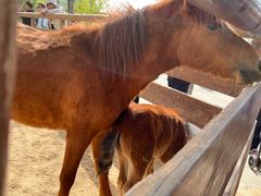 -太原动物园