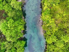 -石台牯牛降景区