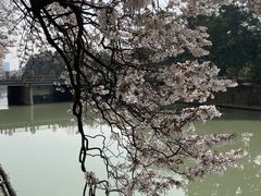 -红星桥(地铁站)
