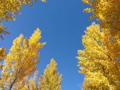 -鄂尔多斯野生动物园