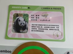 -秦皇岛野生动物园