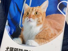-安安宠物医院(佳林路分院)